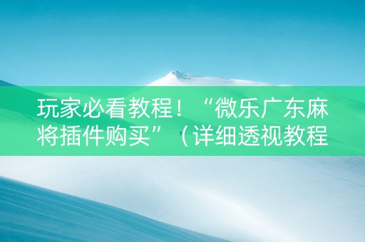 玩家必看教程！“微乐广东麻将插件购买”（详细透视教程）-哔哩哔哩