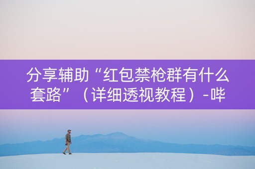 分享辅助“红包禁枪群有什么套路”（详细透视教程）-哔哩哔哩