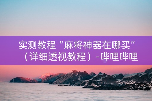 实测教程“麻将神器在哪买”（详细透视教程）-哔哩哔哩