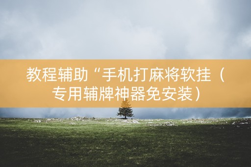 教程辅助“手机打麻将软挂（专用辅牌神器免安装）