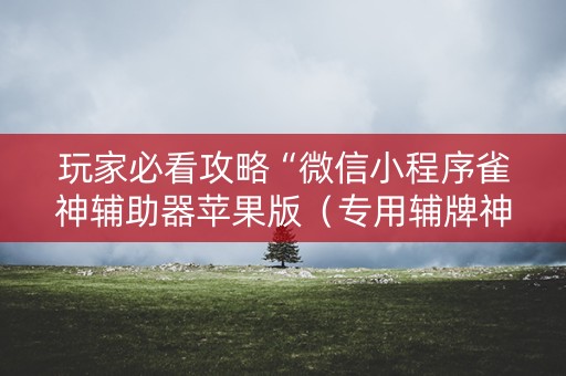 玩家必看攻略“微信小程序雀神辅助器苹果版（专用辅牌神器免安装）
