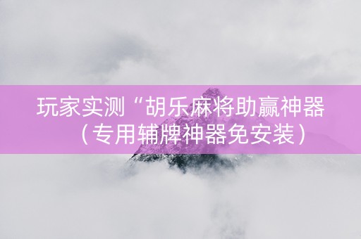 玩家实测“胡乐麻将助赢神器（专用辅牌神器免安装）