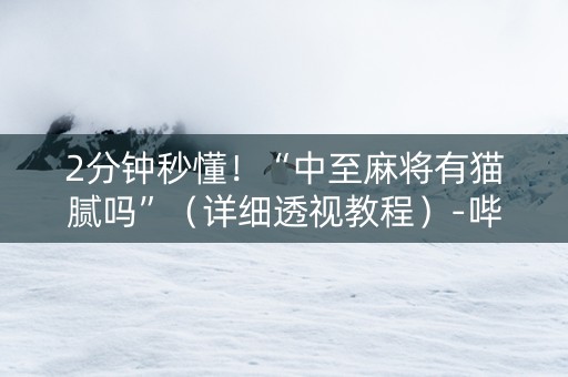 2分钟秒懂！“中至麻将有猫腻吗”（详细透视教程）-哔哩哔哩