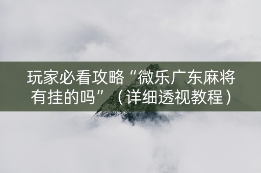 玩家必看攻略“微乐广东麻将有挂的吗”（详细透视教程）-哔哩哔哩