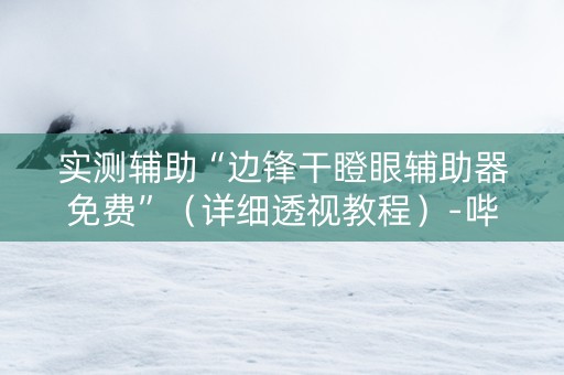 实测辅助“边锋干瞪眼辅助器免费”（详细透视教程）-哔哩哔哩