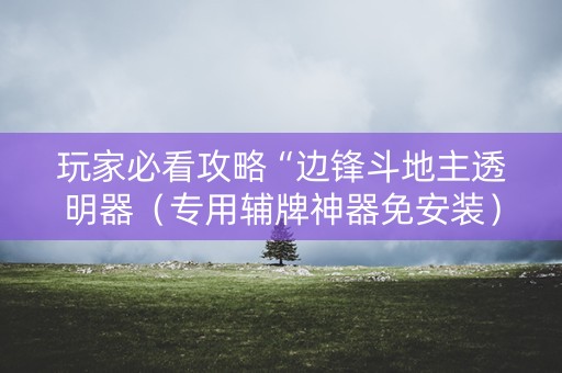 玩家必看攻略“边锋斗地主透明器（专用辅牌神器免安装）
