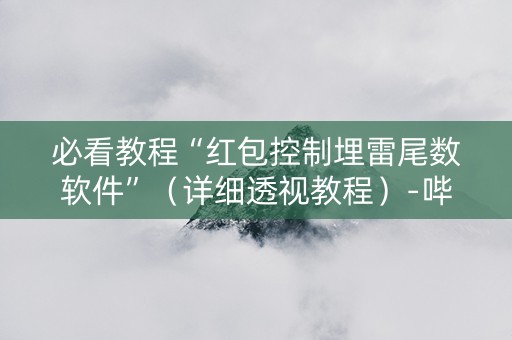 必看教程“红包控制埋雷尾数软件”（详细透视教程）-哔哩哔哩