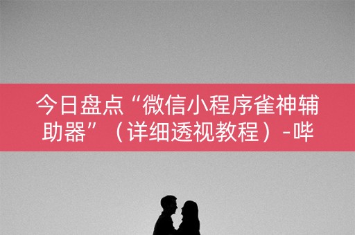 今日盘点“微信小程序雀神辅助器”（详细透视教程）-哔哩哔哩
