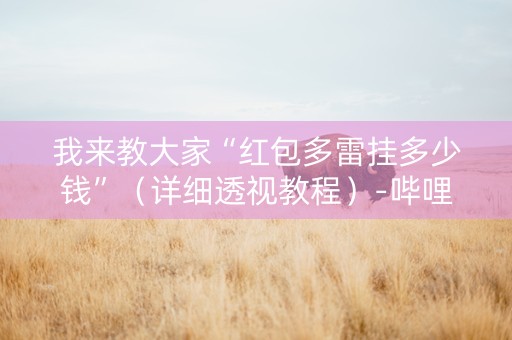 我来教大家“红包多雷挂多少钱”（详细透视教程）-哔哩哔哩