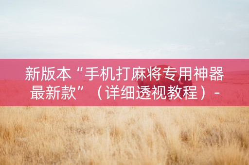 新版本“手机打麻将专用神器最新款”（详细透视教程）-哔哩哔哩