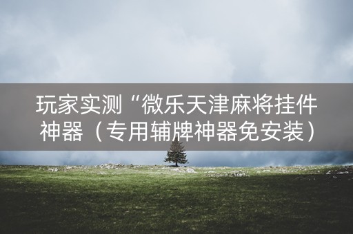 玩家实测“微乐天津麻将挂件神器（专用辅牌神器免安装）