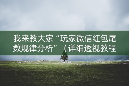 我来教大家“玩家微信红包尾数规律分析”（详细透视教程）-哔哩哔哩