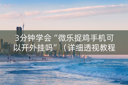 3分钟学会“微乐捉鸡手机可以开外挂吗”（详细透视教程）-哔哩哔哩