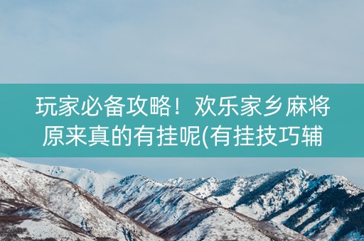 玩家必备攻略！欢乐家乡麻将原来真的有挂呢(有挂技巧辅助器)