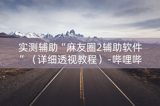 实测辅助“麻友圈2辅助软件”（详细透视教程）-哔哩哔哩
