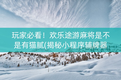 玩家必看！欢乐途游麻将是不是有猫腻(揭秘小程序辅牌器)