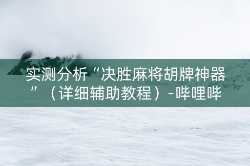 实测分析“决胜麻将胡牌神器”（详细辅助教程）-哔哩哔哩