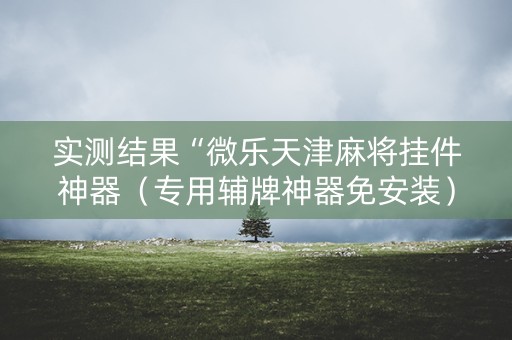 实测结果“微乐天津麻将挂件神器（专用辅牌神器免安装）