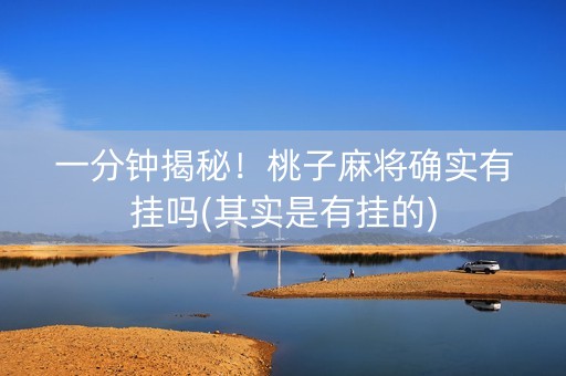 一分钟揭秘！桃子麻将确实有挂吗(其实是有挂的)