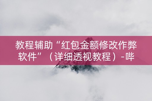 教程辅助“红包金额修改作弊软件”（详细透视教程）-哔哩哔哩