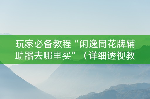 玩家必备教程“闲逸同花牌辅助器去哪里买”（详细透视教程）-哔哩哔哩