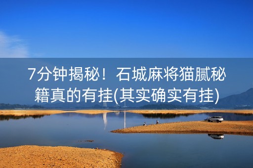 7分钟揭秘！石城麻将猫腻秘籍真的有挂(其实确实有挂)