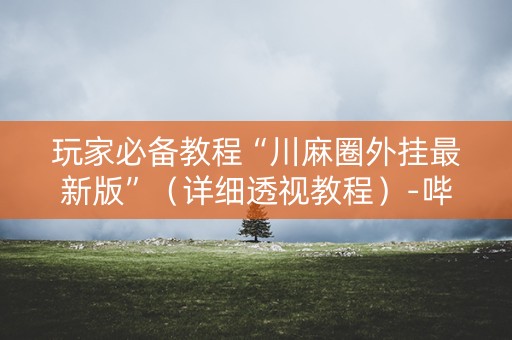 玩家必备教程“川麻圈外挂最新版”（详细透视教程）-哔哩哔哩