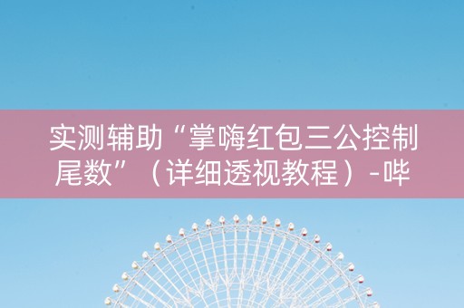 实测辅助“掌嗨红包三公控制尾数”（详细透视教程）-哔哩哔哩