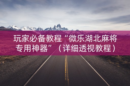 玩家必备教程“微乐湖北麻将专用神器”（详细透视教程）-哔哩哔哩