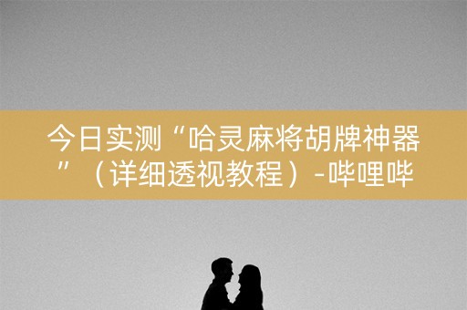 今日实测“哈灵麻将胡牌神器”（详细透视教程）-哔哩哔哩
