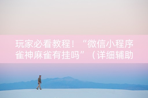 玩家必看教程！“微信小程序雀神麻雀有挂吗”（详细辅助教程）-哔哩哔哩