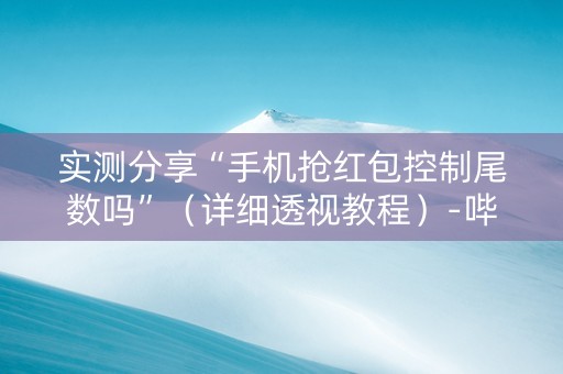实测分享“手机抢红包控制尾数吗”（详细透视教程）-哔哩哔哩