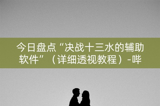 今日盘点“决战十三水的辅助软件”（详细透视教程）-哔哩哔哩