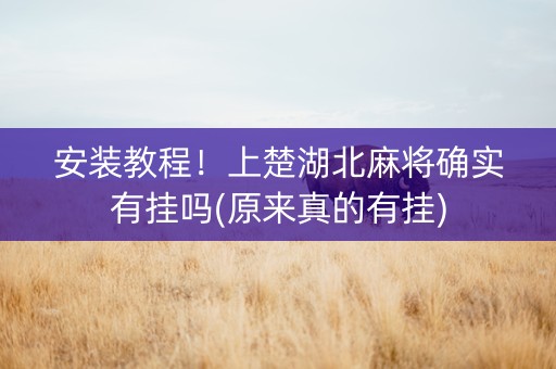 安装教程！上楚湖北麻将确实有挂吗(原来真的有挂)