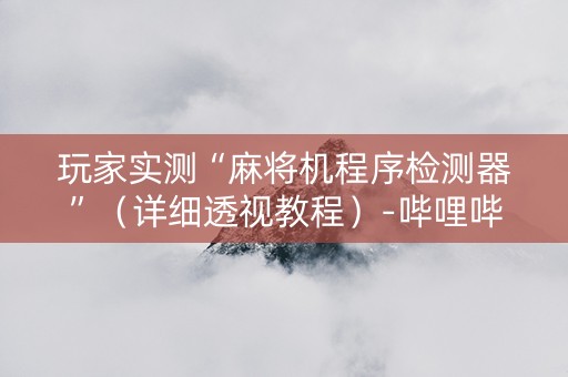 玩家实测“麻将机程序检测器”（详细透视教程）-哔哩哔哩