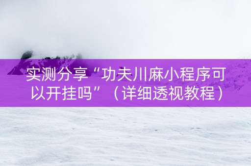 实测分享“功夫川麻小程序可以开挂吗”（详细透视教程）-哔哩哔哩