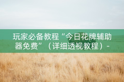 玩家必备教程“今日花牌辅助器免费”（详细透视教程）-哔哩哔哩