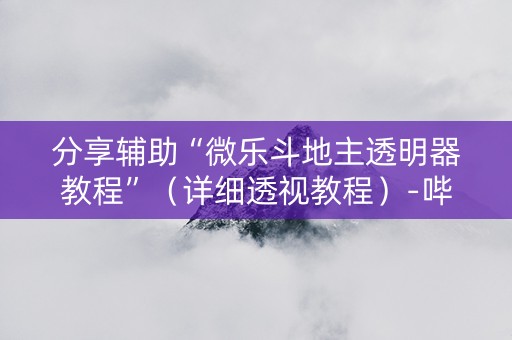 分享辅助“微乐斗地主透明器教程”（详细透视教程）-哔哩哔哩