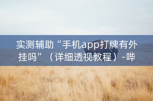 实测辅助“手机app打牌有外挂吗”（详细透视教程）-哔哩哔哩