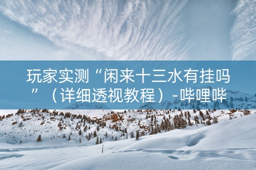 玩家实测“闲来十三水有挂吗”（详细透视教程）-哔哩哔哩