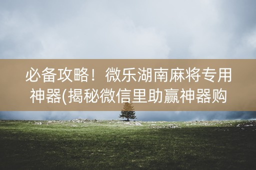必备攻略！微乐湖南麻将专用神器(揭秘微信里助赢神器购买)