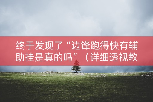 终于发现了“边锋跑得快有辅助挂是真的吗”（详细透视教程）-哔哩哔哩