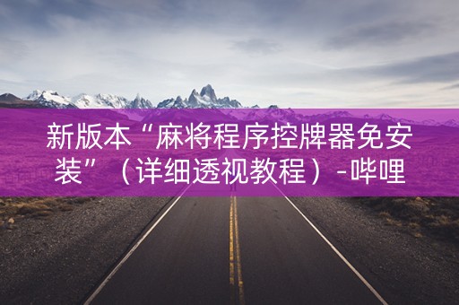 新版本“麻将程序控牌器免安装”（详细透视教程）-哔哩哔哩