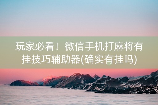 玩家必看！微信手机打麻将有挂技巧辅助器(确实有挂吗)