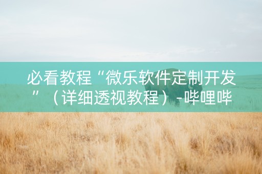 必看教程“微乐软件定制开发”（详细透视教程）-哔哩哔哩