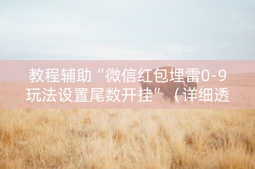 教程辅助“微信红包埋雷0-9玩法设置尾数开挂”（详细透视教程）-哔哩哔哩
