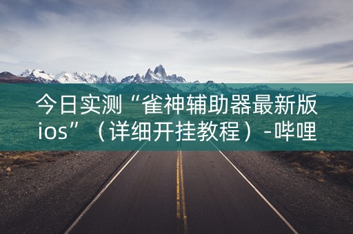 今日实测“雀神辅助器最新版ios”（详细开挂教程）-哔哩哔哩