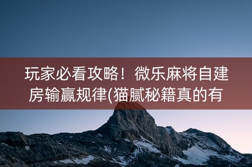 玩家必看攻略！微乐麻将自建房输赢规律(猫腻秘籍真的有挂)