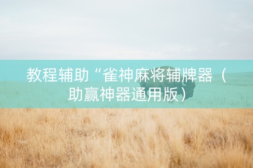 教程辅助“雀神麻将辅牌器（助赢神器通用版）