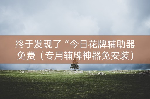 终于发现了“今日花牌辅助器免费（专用辅牌神器免安装）